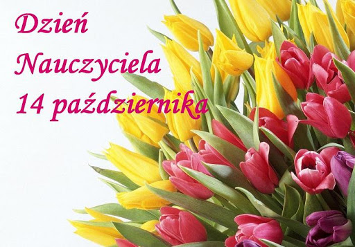 Kolorowe tulipany na dzień nauczyciela
